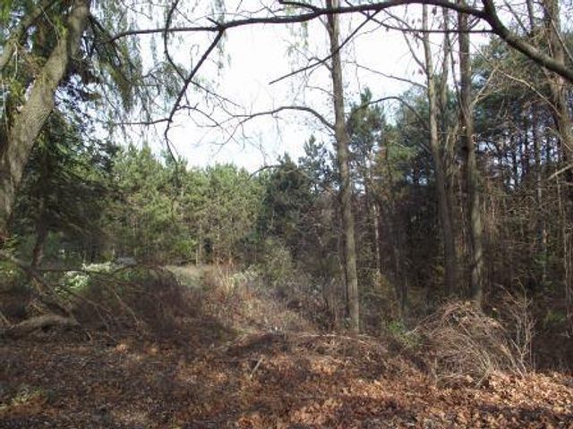 1316,28&70 E Chauvez Road, Scottville, MI 49454