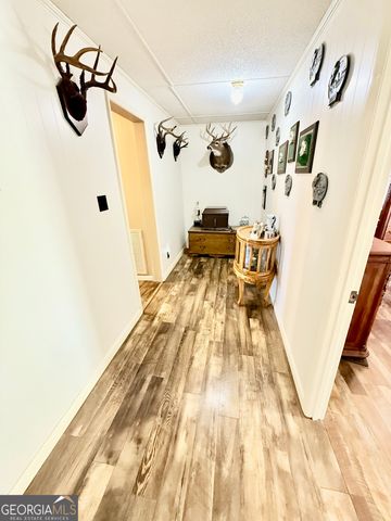 247 Jim Hendrix Lane, Claxton, GA 30417