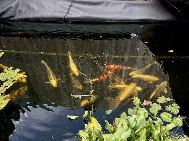 84 S Laclede Station Road, Webster Groves, MO 63119