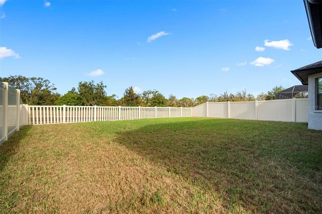 12156 CREEK PRESERVE DRIVE, Riverview, FL 33579