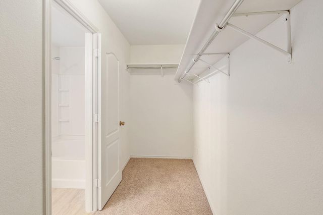 3502 Sandy Brook DR, Round Rock, TX 78665