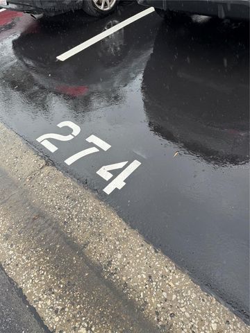 274 CYPRESS LANE, Oldsmar, FL 34677