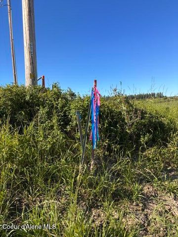 E Van Dusen Rd, Harrison, ID 83833