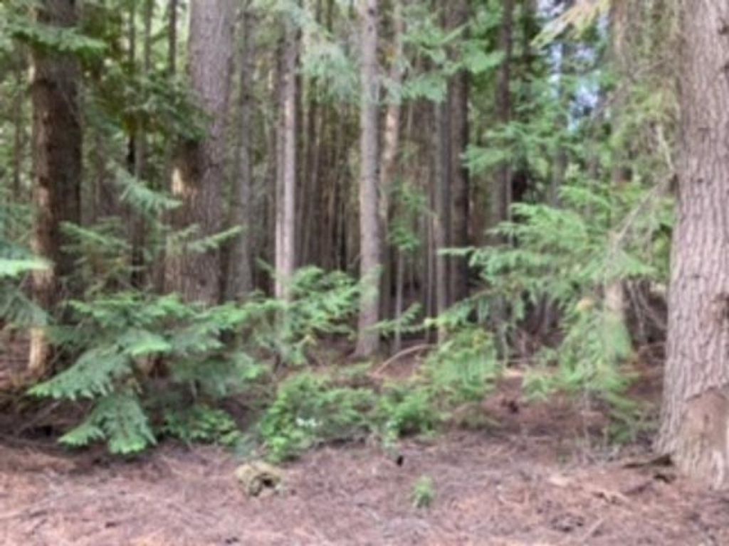 Nka. Leslie Creek Rd, Chewelah, WA 99109