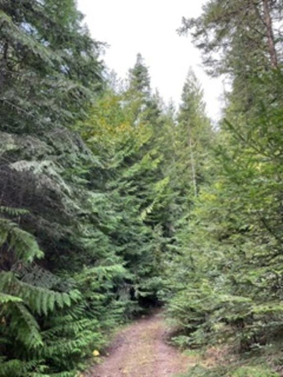 Nka. Leslie Creek Rd, Chewelah, WA 99109 photo 2