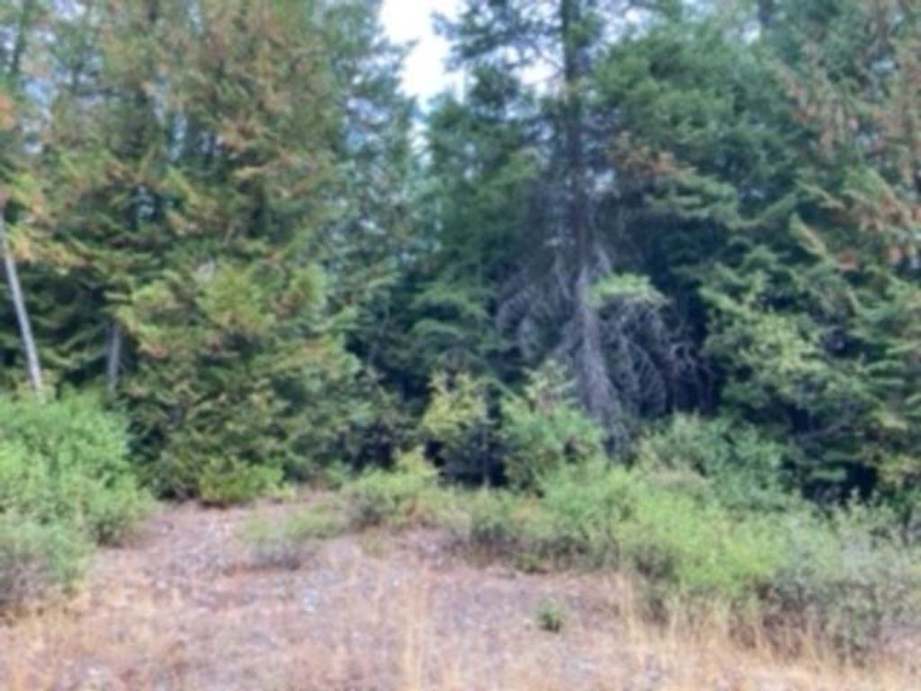 Nka. Leslie Creek Rd, Chewelah, WA 99109 photo 4