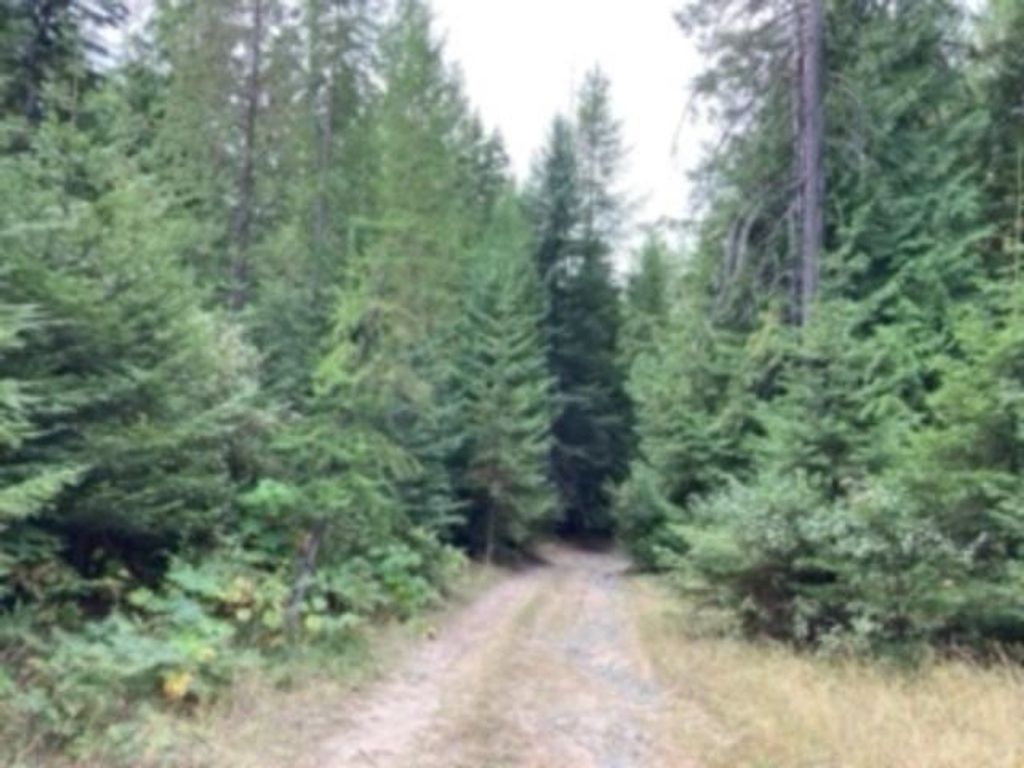 Nka. Leslie Creek Rd, Chewelah, WA 99109 photo 5