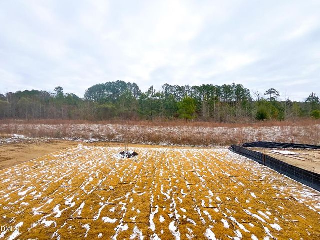 356 Catheys Creek Circle, Wendell, NC 27591