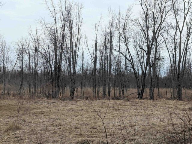 4438 Reynolds Road, Turner, MI 48765