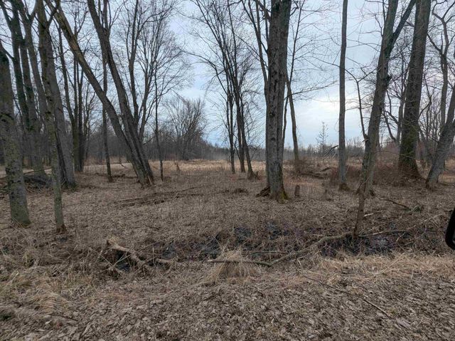 4438 Reynolds Road, Turner, MI 48765