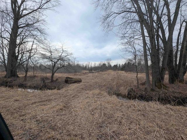 4438 Reynolds Road, Turner, MI 48765