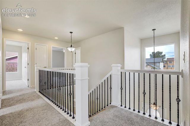 14648 Allegiance Drive, Colorado Springs, CO 80921