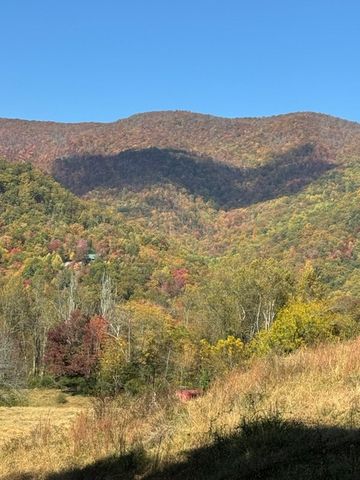 10617 Hwy 64 E, Hayesville, NC 28904