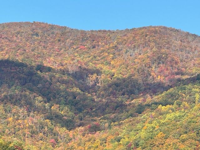 10617 Hwy 64 E, Hayesville, NC 28904