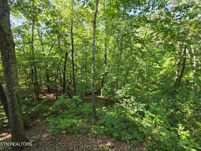 115 Morgan Rd, Oak Ridge, TN 37830