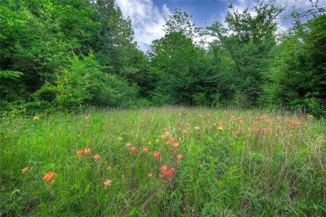 1774 County Road 3562, Dike, TX 75437