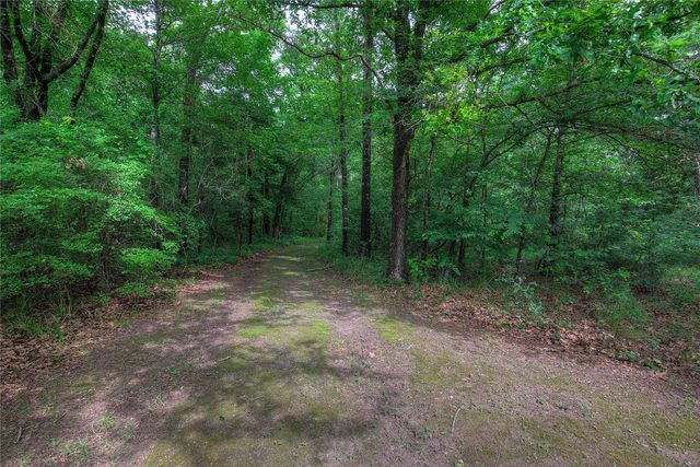 1774 County Road 3562, Dike, TX 75437