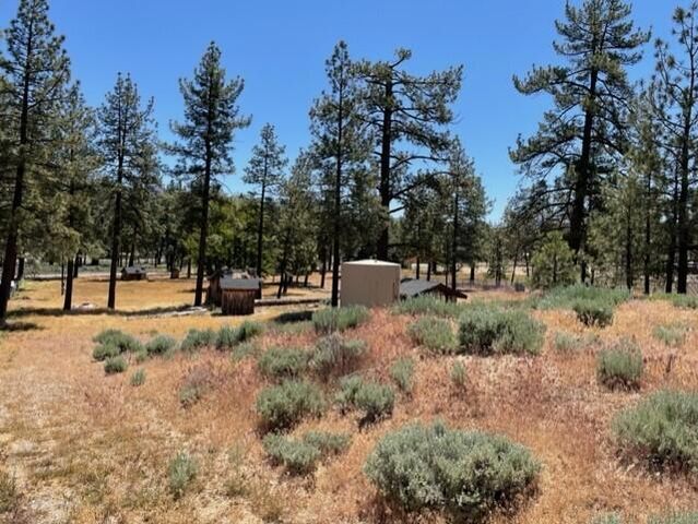 59777 Ca-74, Mountain Center, CA 92561