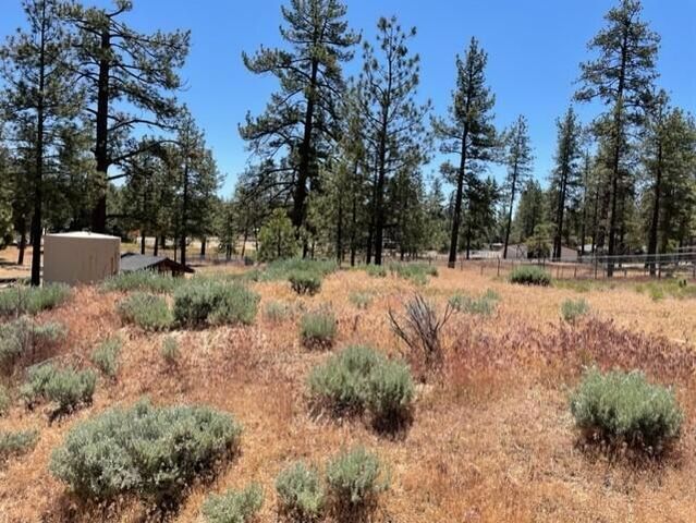 59777 Ca-74, Mountain Center, CA 92561