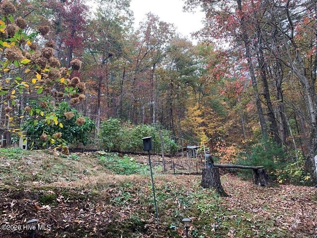 55 Laurel Spring Drive, Murphy, NC 28906