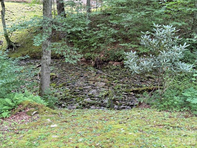 Lot 38 Yanasa Trail 38, Maggie Valley, NC 28751