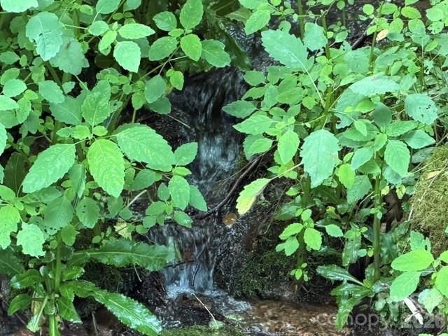 Lot 38 Yanasa Trail 38, Maggie Valley, NC 28751