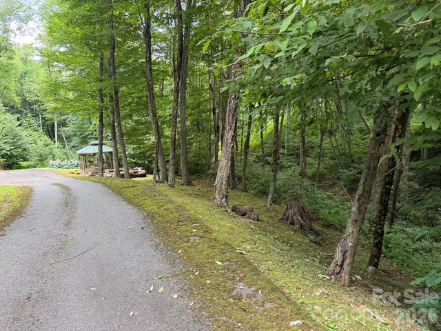 Lot 38 Yanasa Trail 38, Maggie Valley, NC 28751