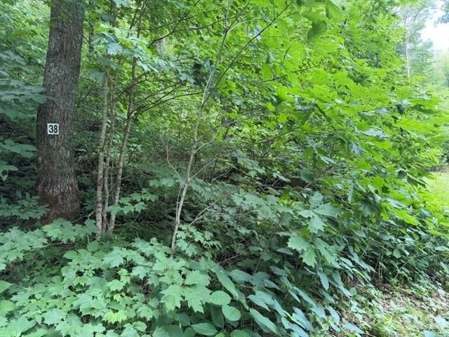 Lot 38 Yanasa Trail 38, Maggie Valley, NC 28751