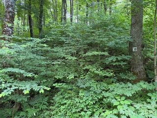 Lot 38 Yanasa Trail 38, Maggie Valley, NC 28751