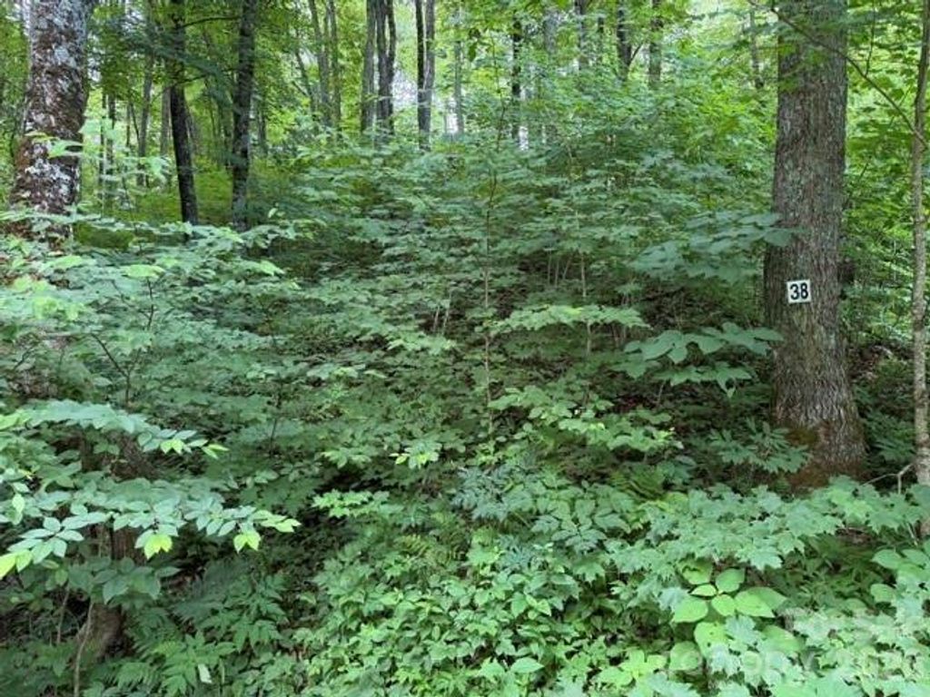 Lot 38 Yanasa Trail 38, Maggie Valley, NC 28751