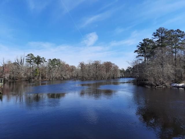 167 Palm Terrace Loop, Conway, SC 29526
