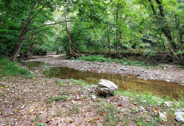 3119 Tyree Springs Rd, Hendersonville, TN 37075