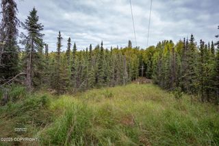 L5 B2 Big Lake Estates, Big Lake, AK 99654