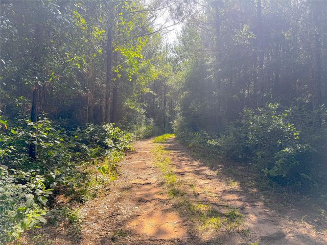 0 County Road 2650, Cleveland, TX 77327