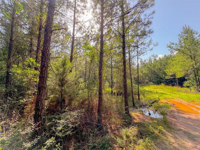 0 County Road 2650, Cleveland, TX 77327