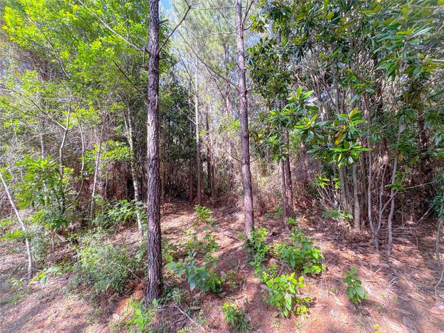 0 County Road 2650, Cleveland, TX 77327