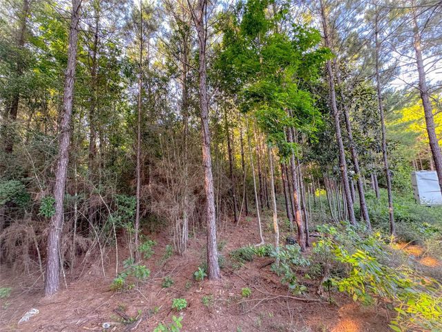 0 County Road 2650, Cleveland, TX 77327