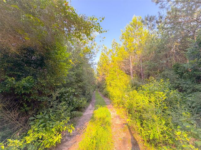 0 County Road 2650, Cleveland, TX 77327