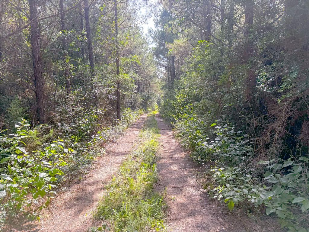 0 County Road 2650, Cleveland, TX 77327