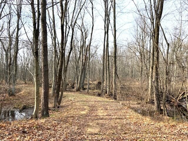 358 69th, South Haven, MI 49090