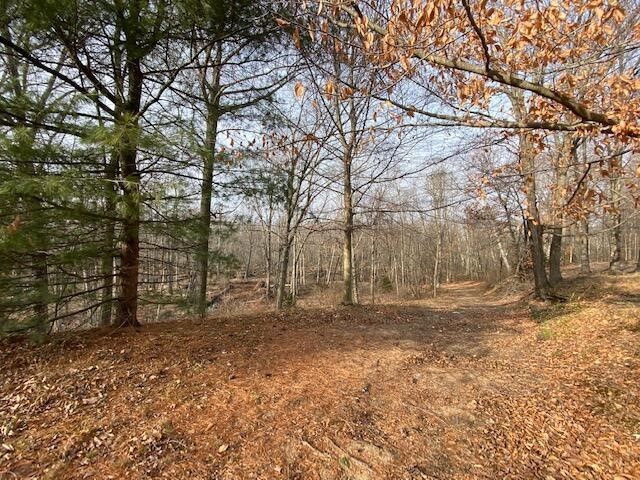 358 69th, South Haven, MI 49090