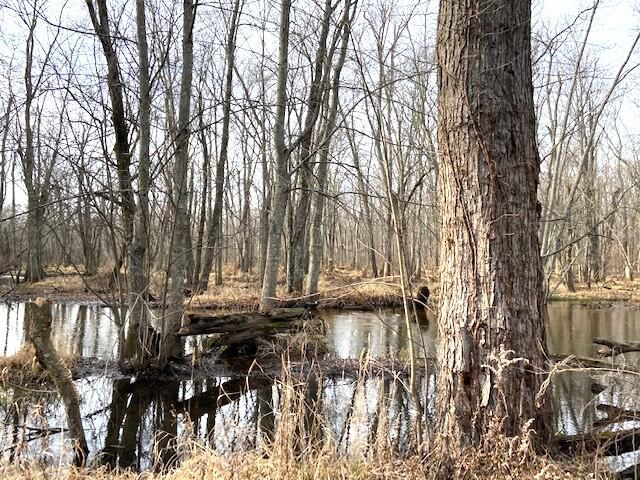 358 69th, South Haven, MI 49090