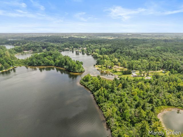 14033 Perch Lane, Greenville, MI 48838