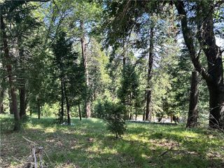 0 Bone Drive, Cedarpines Park, CA 92322