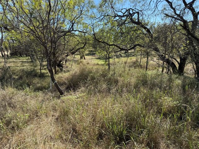 Lot 187 Longmont ST, Kingsland, TX 78639