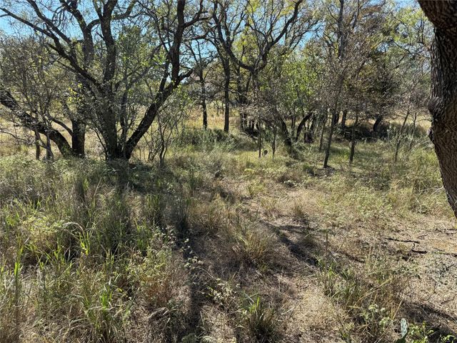 Lot 187 Longmont ST, Kingsland, TX 78639