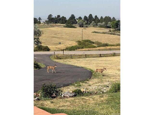 13786 Travois Trl, Parker, CO 80138