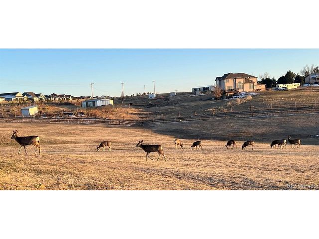 13786 Travois Trl, Parker, CO 80138