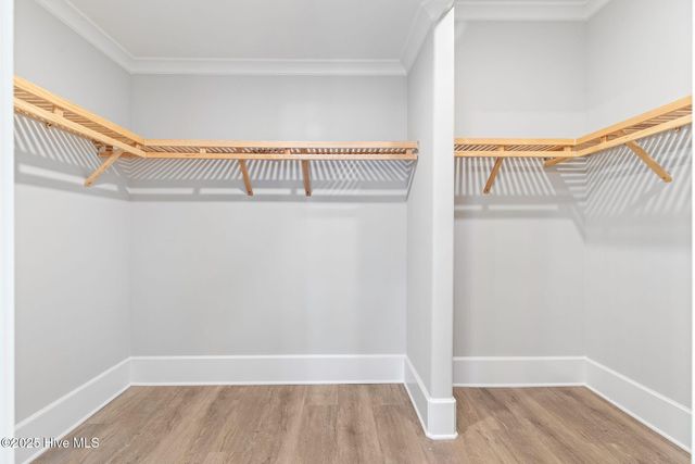 7366 Foxbriar Drive, Leland, NC 28451