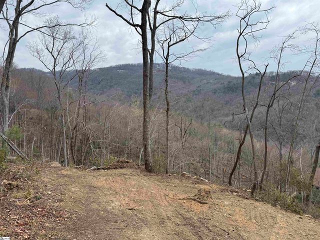 1328 Panther Park Trail, Travelers Rest, SC 29690